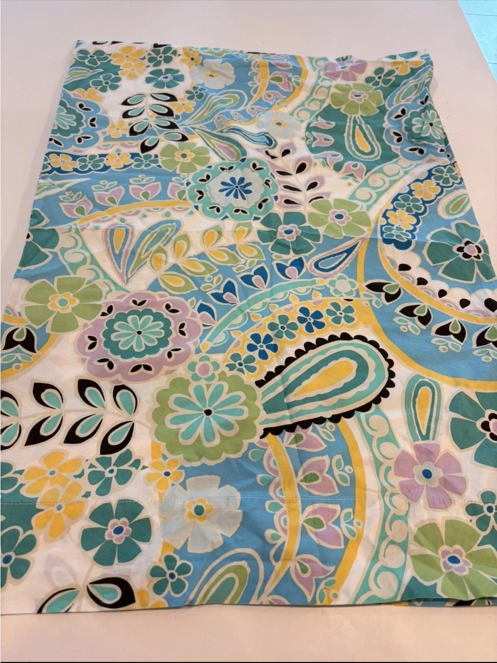 Pottery Barn Teen Paisley Pop Pillowcases set of 2 NEW